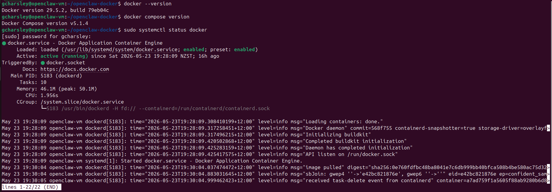 Docker Quick verification commands